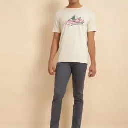 Allen Solly Grey Slim Fit Jeans image 5