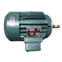 Chetak Electrical Three Phase 0.75 HP 6 Pole Foot Mounting Induction Motor-image-97