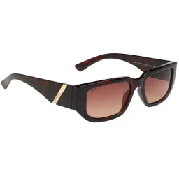 SCOTT Brown Wayfarer UV Protection Unisex Sunglasses image 3