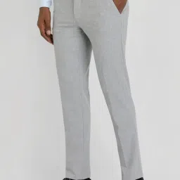 Allen Solly Grey Slim Fit Texture Trousers image 3