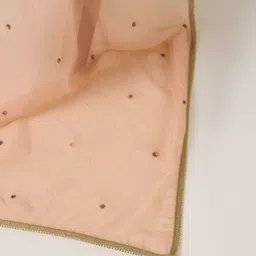 Ancestry Organza Dupatta with Sequinned image 3