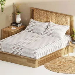 Bianca Monkler Brown 210 TC Cotton King Bedsheet with 2 Pillow Covers image 3