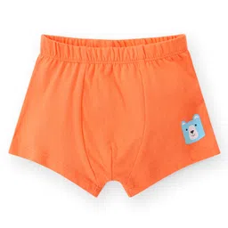 Babyhug 100% Cotton Knit Antibacterial Trunks Tiger Print Pack of 3 - Multicolour image 2