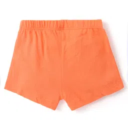 Babyhug 100% Cotton Knit Antibacterial Trunks Tiger Print Pack of 3 - Multicolour image 3