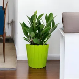 GARDEN'S NEED Thai Green 2 Pieces Textured Planters image 2