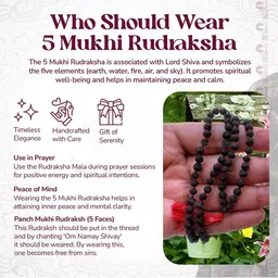 Apnisanskriti Unisex Rudraksha Mala Necklace image 2