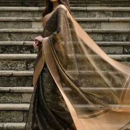 VISHNU WEAVES Tortilla Coffee Woven Design Linen Silk Zari Butti Weaves Saree image 2