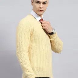 Monte Carlo Beige Regular Fit Self Pattern Pullover image 4