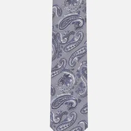 Louis Philippe Men Woven Design Polyester Broad Tie image 2