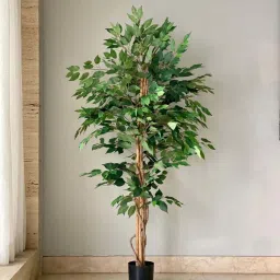 Mason Home Green Pvc Artificial Weeping Ficus Tree - 5 Feet image 4