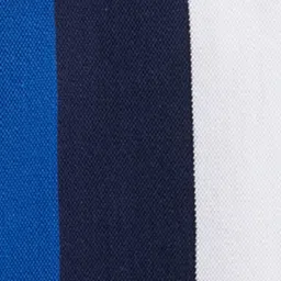 Pepe Jeans Navy Blue Cotton Regular Fit Striped Polo T-Shirt image 4