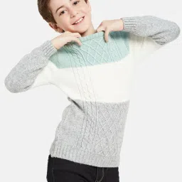 Octave Kids Light Mint Self Design Full Sleeves Sweater image 4