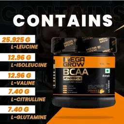 Megagrow Advance Bcaa Intra or Pre Workout Supplements Orange Flavored 400 g image 4