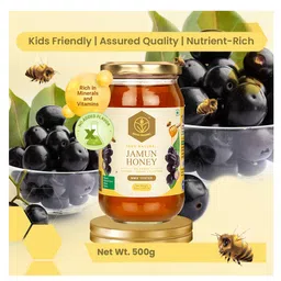 Shiva Organic Jamun Honey 500 g-image-52
