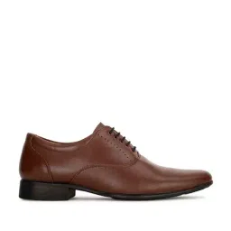 Bata Men's CHRIS E Brown Oxford Shoes-image-13
