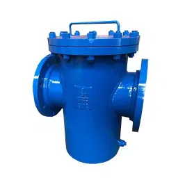 Flowtek Mild Steel Fabricated Basket Type Strainer 150# Flanged Ends Mesh-40, 32 mm image 1