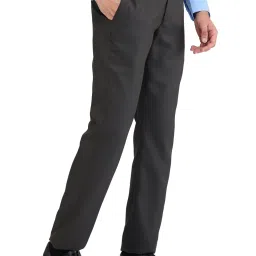 Park Avenue Brown Regular Fit Texture Trousers image 4