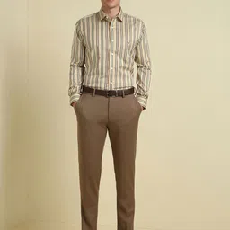 Allen Solly Men Spread Collar Vertical Striped Cotton Formal Shirt image 3