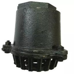 Kirloskar 80 mm Cast Iron Foot Valve Screwed / Flanged-picture-1