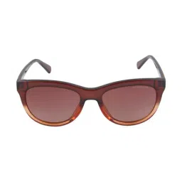 Giordano GLS807C002 Brown Square Sunglasses-image-73