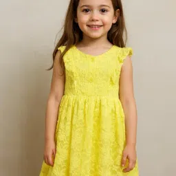 KidsDew Kids Yellow Embroidered A-Line Dress-image-1