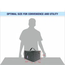 HALONIX 5 min Automatic Sterilization UV Sanitizer (Vanitizer, Grey) image 2