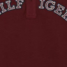 Tommy Hilfiger Boys Maroon Cotton Applique T-Shirt image 4