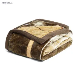 Monte Carlo Brown Polyester 850 GSM Winter Blanket image 4