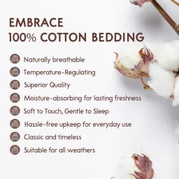 Layers 200 Tc Caprice Blue Bedsheet with Pillow Covers (Double) image 4