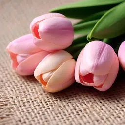 Chitra Artworks Pink 5 Pieces Tulip Artificial Flower image 5