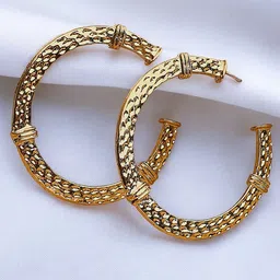 fabula Contemporary Hoop Earrings-picture-40