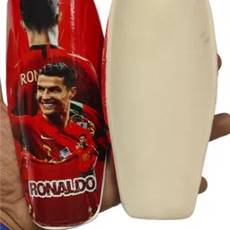 mordan sports Ronaldo Printed Sing Gard Football Shin Guard-picture-22