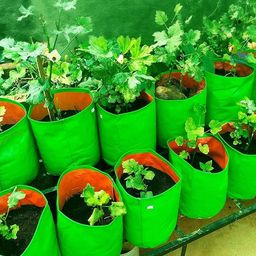go hooked Grow Bags for Gardening Vegetables Herbs & Flowers Planter Bags-picture-33