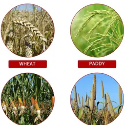 balwaan krishi 80 Teeth TCT Blade Suitable For All Type Of Brush Cutter (Pack Of 2) Metal Cutter image 5