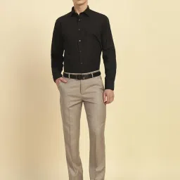 Cantabil Beige Regular Fit Solid Formal Trousers image 5