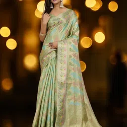 DIVASTRI Woven Design Zari Organza Banarasi Saree-image-10