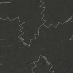 Pepe Jeans Black Regular Fit Printed Shirt image 5