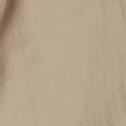 Fame Forever by Lifestyle Beige Regular Fit Pants image 5