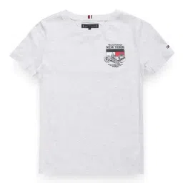 Tommy Hilfiger Light Grey Regular Fit T-Shirt-picture-24