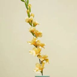 Pure Home and Living Yellow Plastic Solid Flower Stems-picture-42