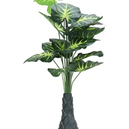 FOLIYAJ Green 1 Pieces Money Artificial Plant-picture-48
