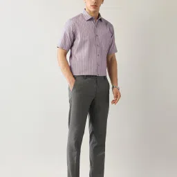 Arrow Purple Polyester Regular Fit Stripes Formal Shirt image 5