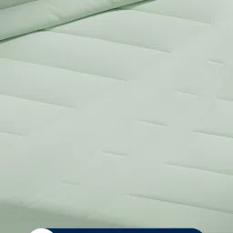 Nautica Signature Olive Microfibre Single Comforter image 5