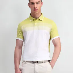 Arrow Light Yellow Cotton Regular Fit Colour Block Polo T-Shirt-picture-31