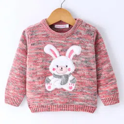 Wingsfield Full Sleeves Animal Embroidered Sweater - Multi Colour-picture-23