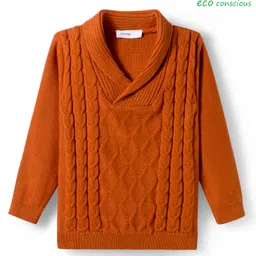 Babyoye 100% Cotton Knit Full Sleeves Pullover Sweater with Cable Knit Design - Brown image 1