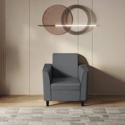 Godrej Interio Grey Emperor 1 Seater Sofa-picture-34