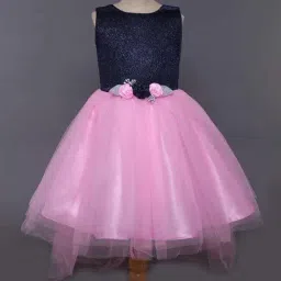 The Magic Wand Kids Navy & Pink Regular Fit Dress-picture-14