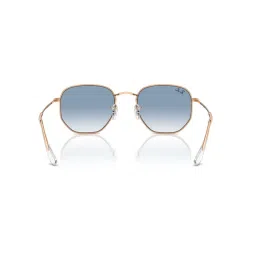Ray-Ban Blue Irregular Unisex Sunglasses image 5