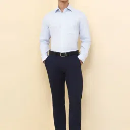 Allen Solly Blue Cotton Regular Fit Striped Shirt image 5